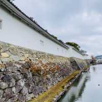 【滋賀県/国宝  彦根城🏯】