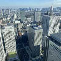 View of Tokyo Metrepolitian government office