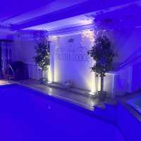 Truffle lodge luxury spa hotel