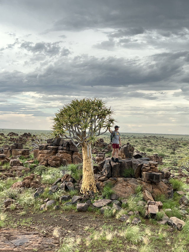 Namibia - A Truly Unique Adventure 