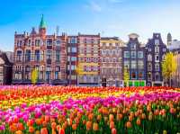 Keukenhof Netherlands 🇳🇱 