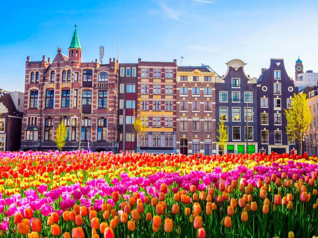 Keukenhof Netherlands 🇳🇱 