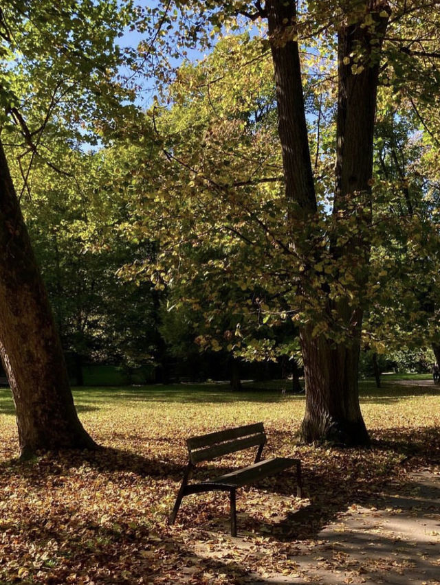 Autumn has arrived 🌰