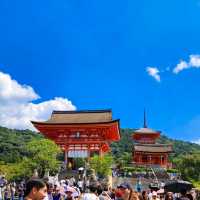 Timeless Beauty: Exploring Japan’s Soulful Wonders