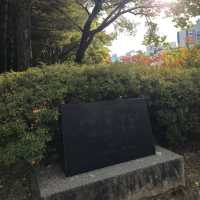 국내여행 대전 둔산동에 위치한 작고 예쁜 공원인 씨애틀공원