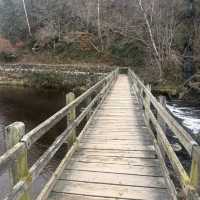 The perfect winter walk 