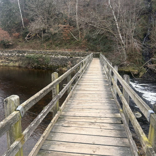 The perfect winter walk 