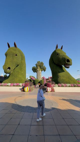 Can’t miss Miracle Garden if you are in Dubai