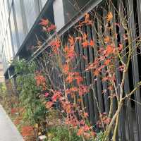 Mitsui Garden Hotel Fukuoka Nakasu