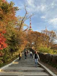 🌆🌿 Seoul from Above: N Seoul Tower & Namsan Park