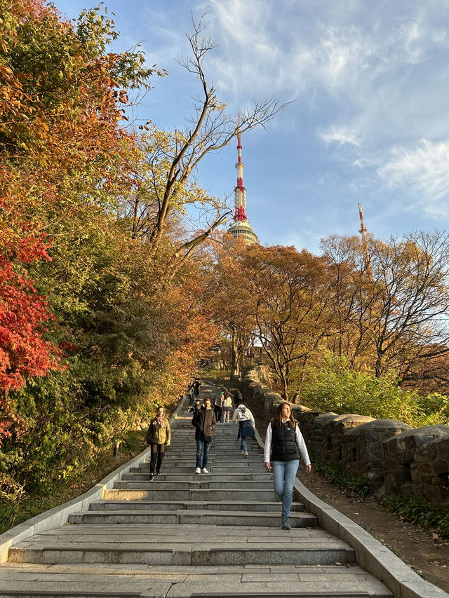 🌆🌿 Seoul from Above: N Seoul Tower & Namsan Park