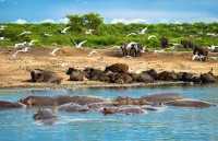 WHAT TO EXPECT WHEN YOU VISIT UGANDA