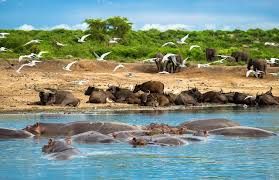 WHAT TO EXPECT WHEN YOU VISIT UGANDA