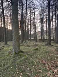 Beautiful Bowland 