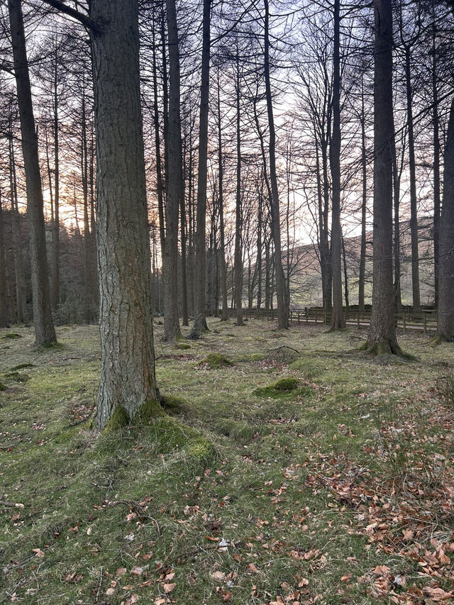 Beautiful Bowland 