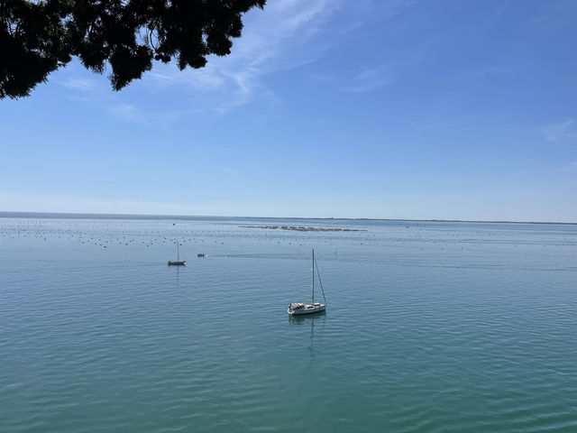 Castello di Duino 🏰