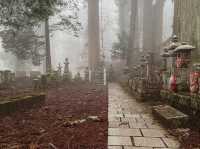 Surrounded by cedar trees over 800 years old