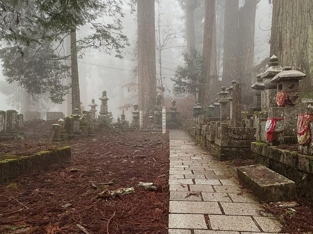 Surrounded by cedar trees over 800 years old