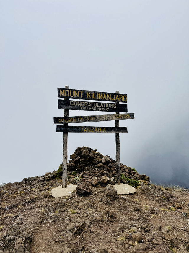 Climbing Mount Kilimanjaro – Shira Cathedral 🗻