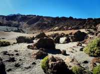 🌋 Journey to Another Planet: Mount Teide National Park Adventure