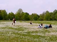 ☀️ London’s Hyde Park - Best Royal Park in Town