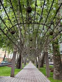Spring Stroll on Rudaki Avenue, Dushanbe