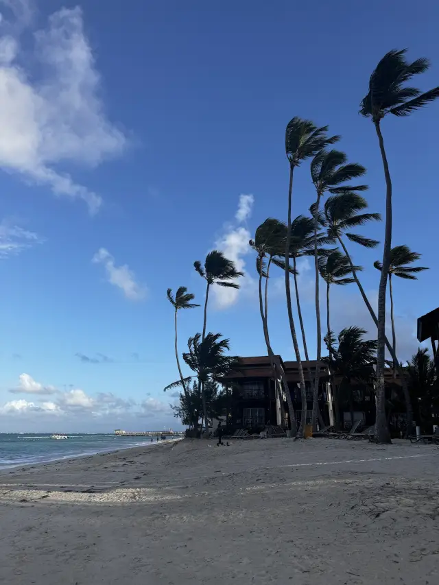 푼타 카나 - 카리브해의 천국! 🌴🌊