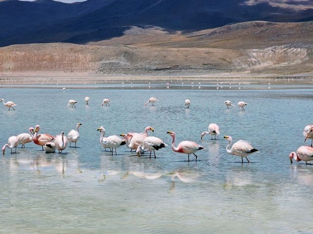 3 Days in Bolivia’s Uyuni Salt Flats – Like Landing on Another Planet