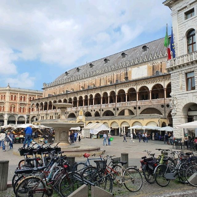 A Day of History and Art in Padua