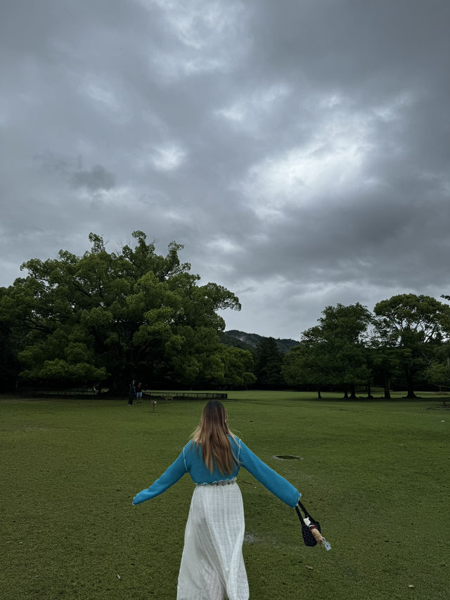 My 3 Days in Osaka, Japan