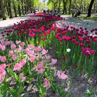 Bishkek City Center – A Calm Heart with Soviet Charm