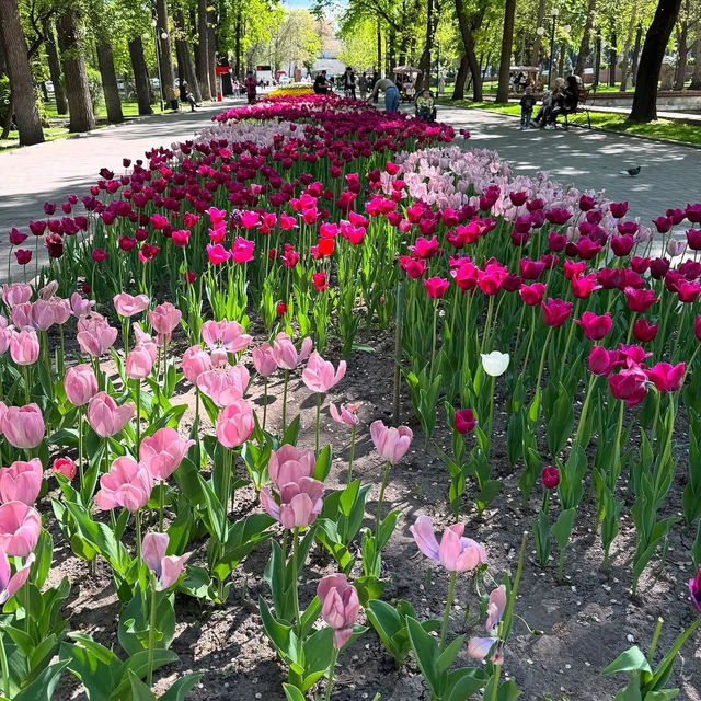 Bishkek City Center – A Calm Heart with Soviet Charm