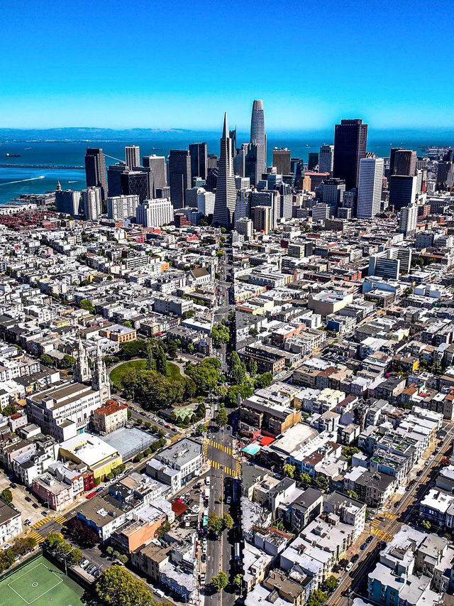 🌁 San Francisco – Where Golden Views Meet Creative Vibes