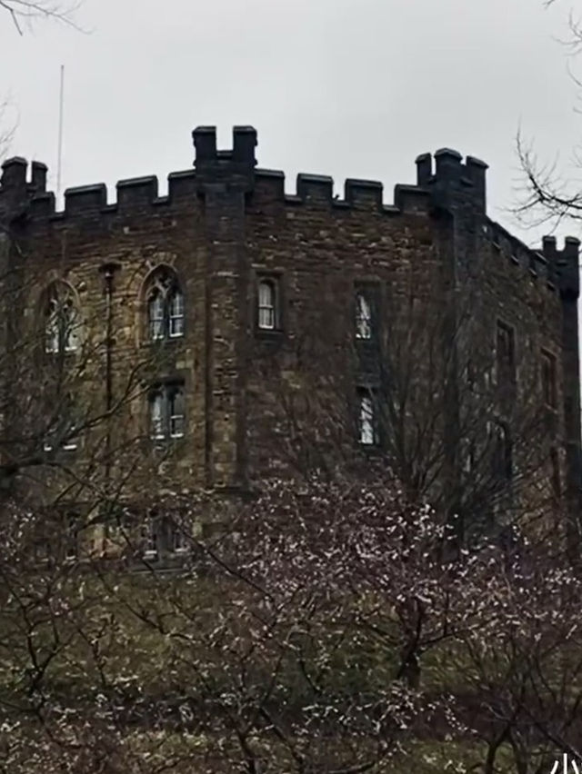 Stone and Silence: A Peaceful Day in Durham
