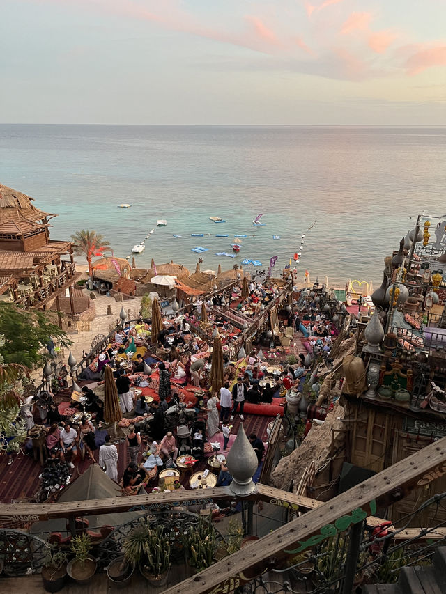 Budget Diving Escape in Sharm – All in for $100!