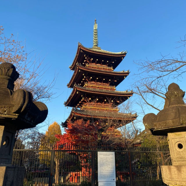 Tokyo Temples: Serenity Amid the City Buzz