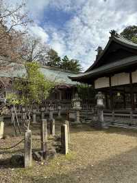 Deer, Temples & Tranquility: The Ultimate Nara Park Stroll 