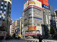 Two iconic cities, endless neon: Tokyo x Kyoto Review