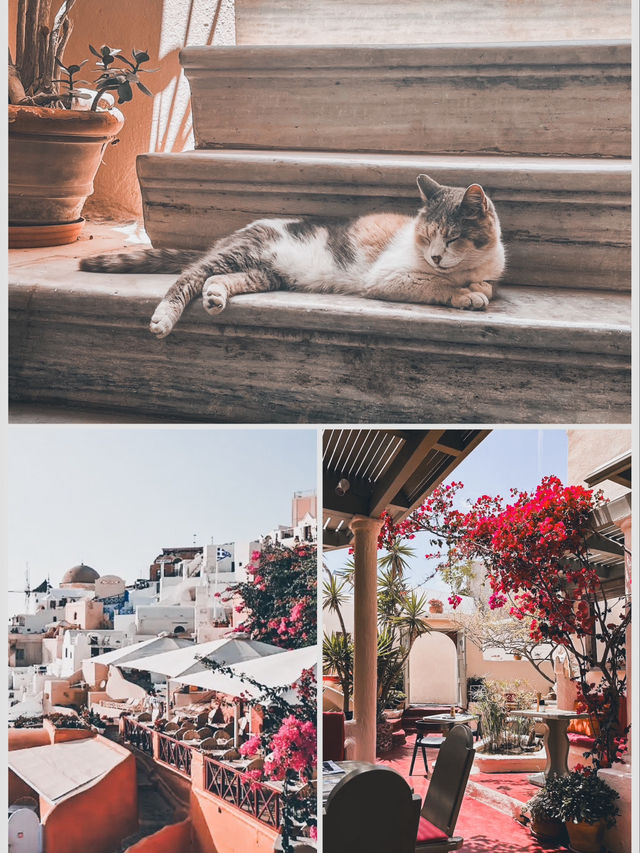 Seaside Romance💫