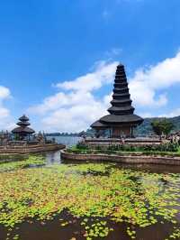 Bali on a Budget: Affordable Island Bliss
