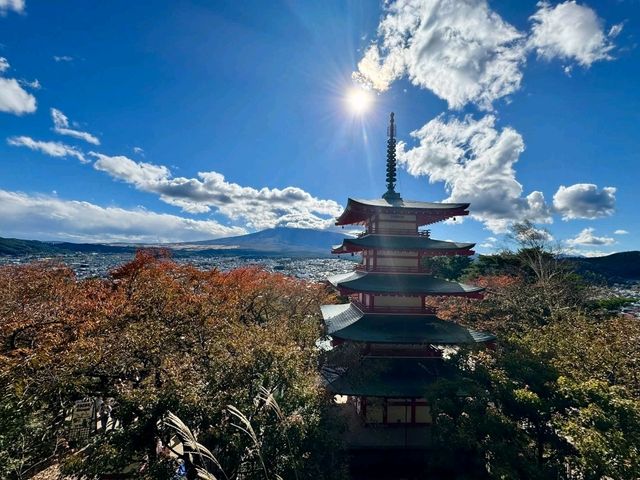 Fall Fuji Magic🍁 Fall Fuji Magic🍁