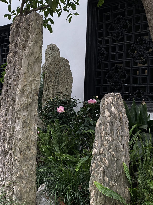 🪷День 2 -Сад Юйюань, старый город и деловой центр Шанхая 🪷День 2 -Сад Юйюань, старый город и деловой центр Шанхая