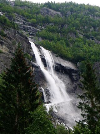 Misty Mountain Magic🌲