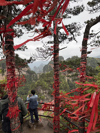 阿凡達山脈：國家公園路線