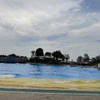 Ginkgo Water Park 