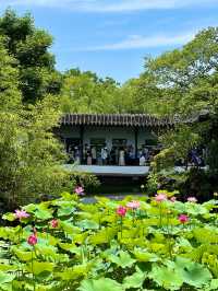 ハスの花が美しい蘇州の世界文化遺産「拙政園」