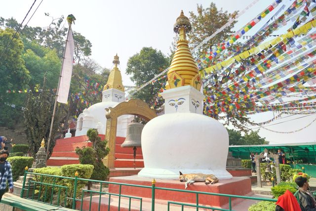 Nepal Kathmandu Monkey Temple