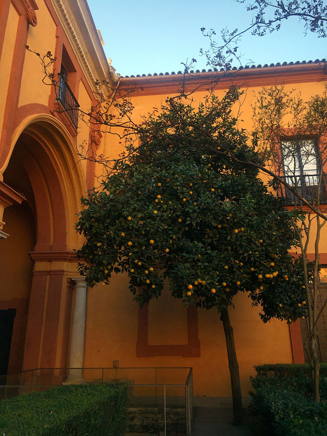 Stroll through the Royal Alcázar of Seville.