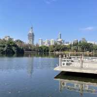  A stunning park in the heart of Shenzhen