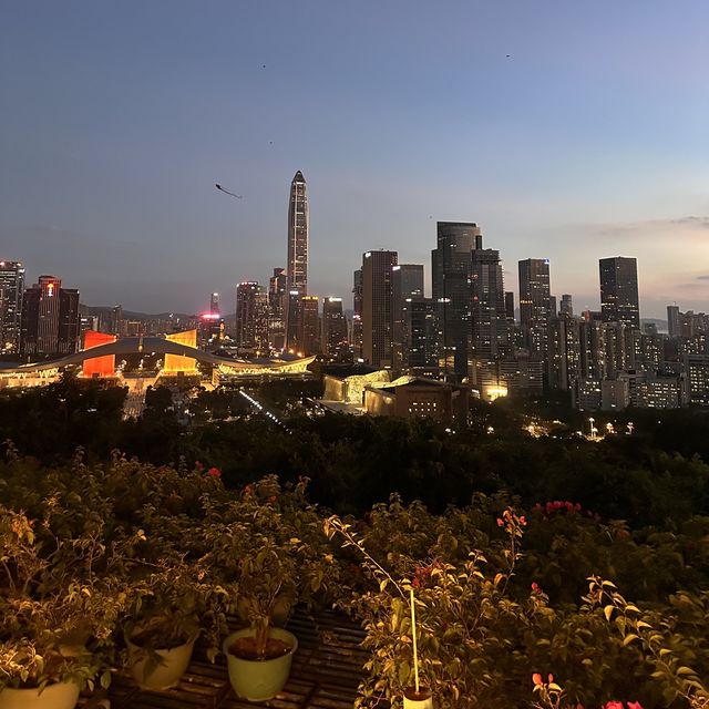 Stunning nighttime views of Shenzhen